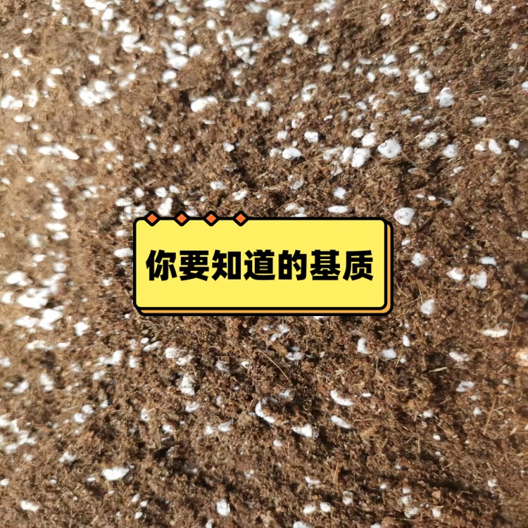塑料育苗袋技术工艺流程